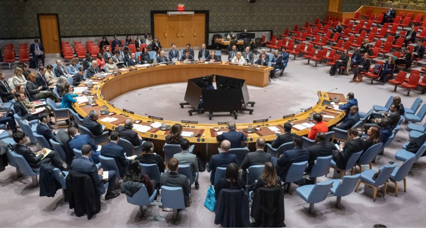 Screenshot 2025-03-15 114332