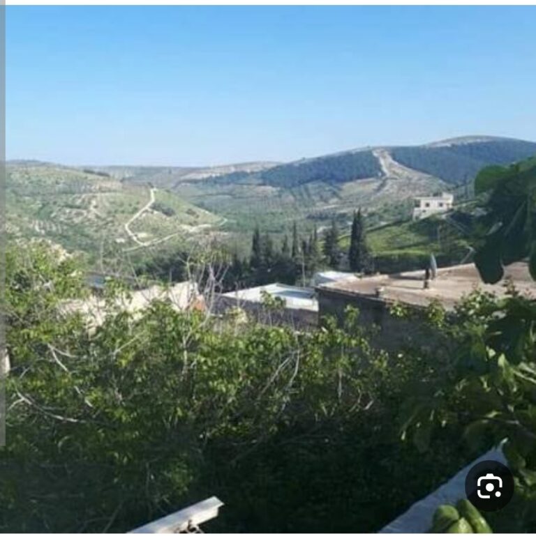 Screenshot_2025-11-23-23-17-31-806_com.android.chrome-edit