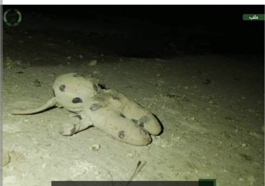 Screenshot_2026-01-07-07-36-46-506_com.android.chrome-edit